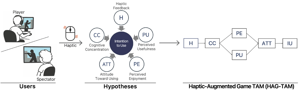 HAG-TAM research overview